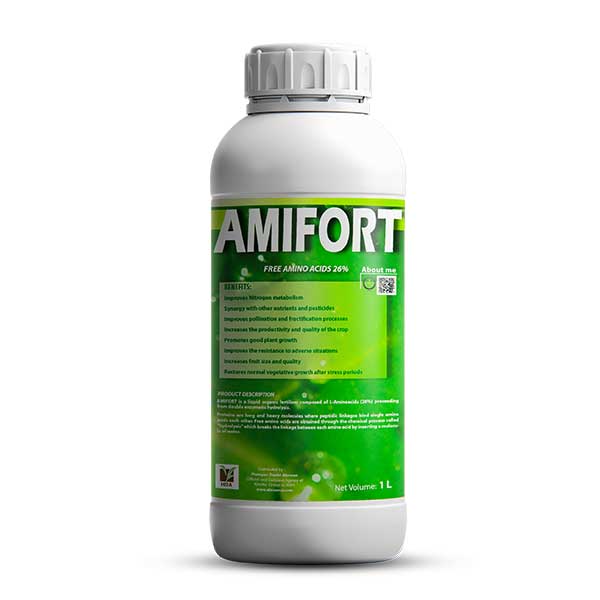 آمیفورت-AMIFORT