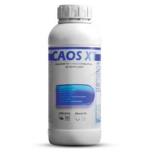 کائوس ایکس تی