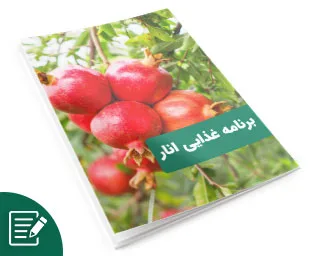 برنامه غذایی انار