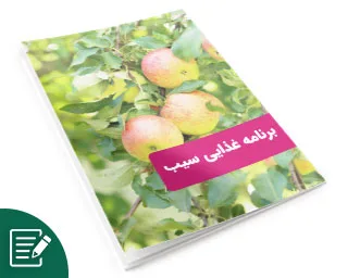 برنامه غذایی سیب