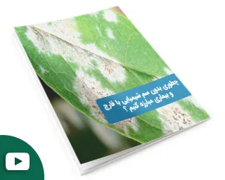 چطوری بدون سم شیمیایی با قارچ و بیماری مبارزه کنیم