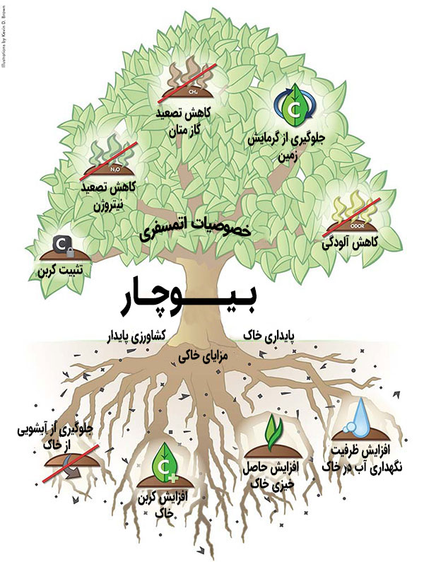 اثر بیوچار در مقاومت گیاه نسبت به بیماری