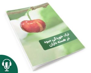 ترک خوردگی میوه در هسته داران