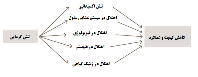 تنش گرمایی