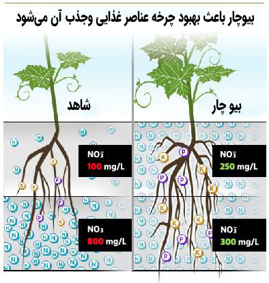 بیوچار