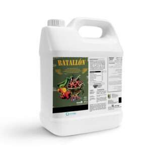 باتالون-همیاردشت-آبرون-1