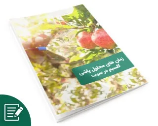 زمان‌های محلول پاشی کلسیم در سیب
