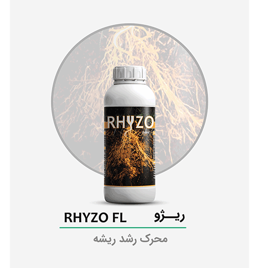 rhyzo-ریژو