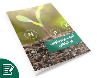 اثرات نوتریفوس در گیاهان