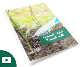 کدام یک نیترات کلسیم یا کلات کلسیم؟