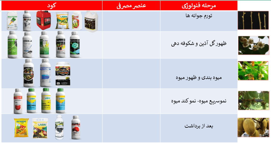 برنامه غذایی پیشنهادی برای گیاه کیوی با توجه به مراحل رشدی