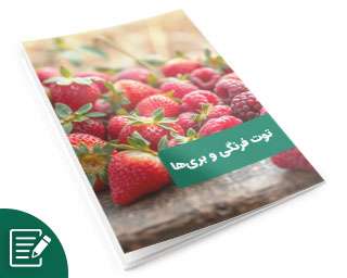 توت فرنگی و بری‌ها