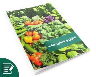 سبزی و صیفی جات
