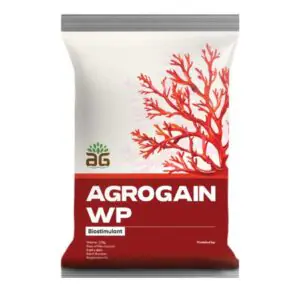 Agrogain wp seaweed bio stimulant
