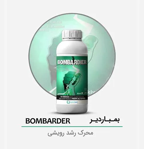 بمباردیر01