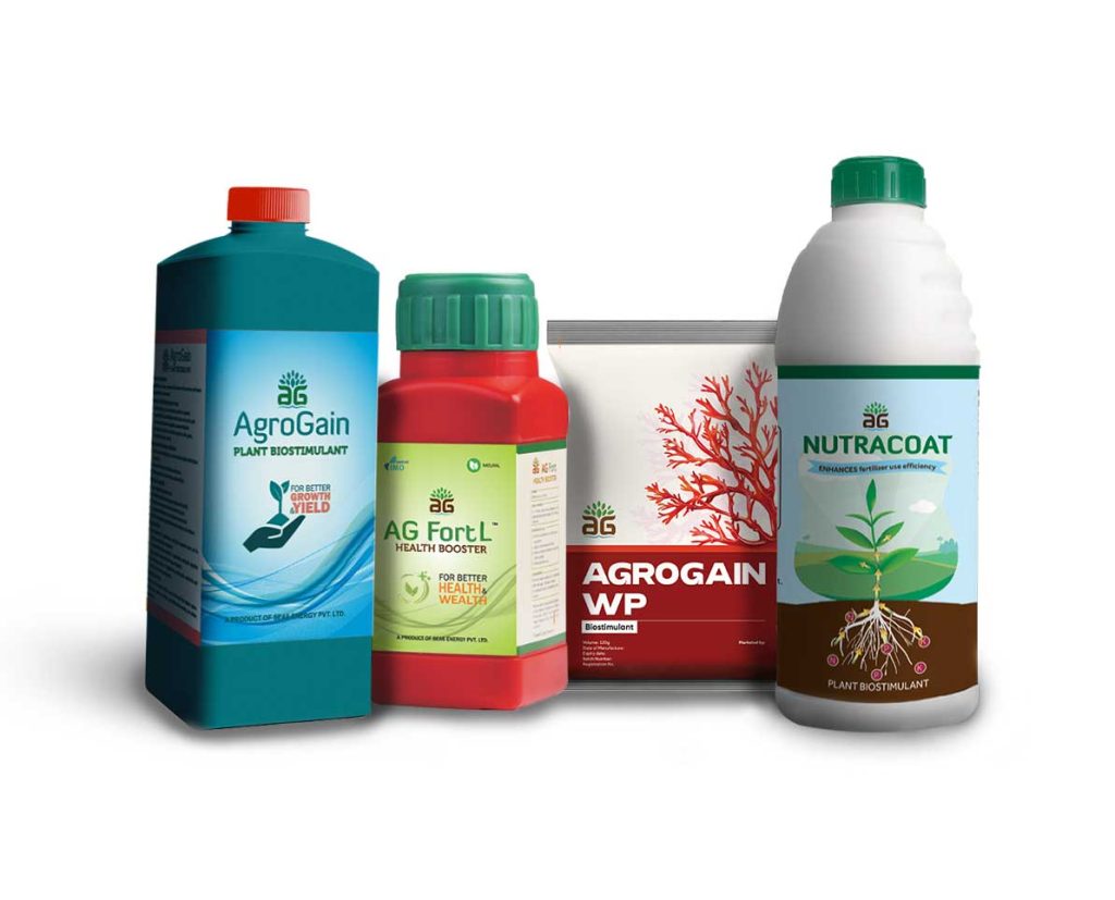 SEA6 ENERGy جلبک قرمز همیار دشت آبرون محصولات