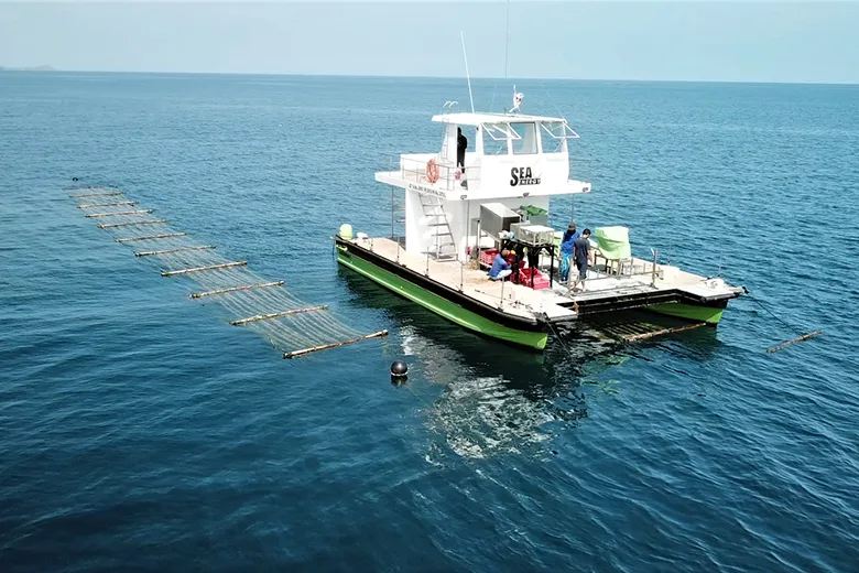 Sea6 mission