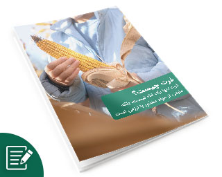 ذرت مقاله
