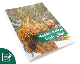برنامه تغذیه نهال خرما
