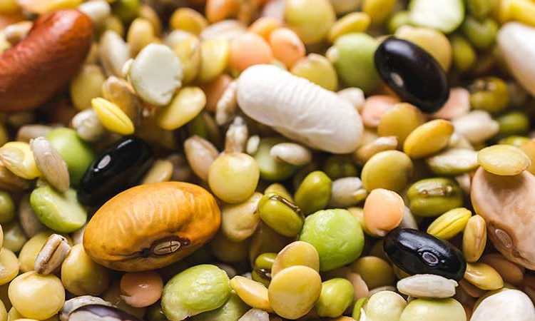 Legumes-حبوبات