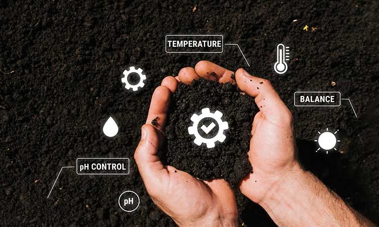 تأثیر-دما-بر-جذب-عناصر-غذایی-در-خاک