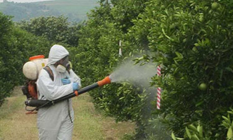 زمان محلول پاشی کود های ریز مغزی روی درختان میوه