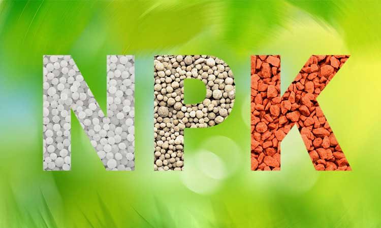 مزیت-کودهای-NPK-لبین