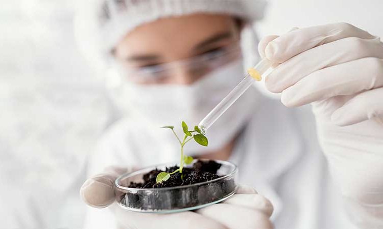 نقش کلسیم در گیاه برای کنترل ویروس های گیاهی