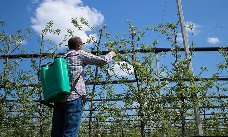 همه-چیز-درمورد-محلول-پاشی