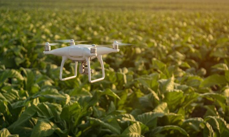 کاربرد-تکنولوژی-در-کشاورزی